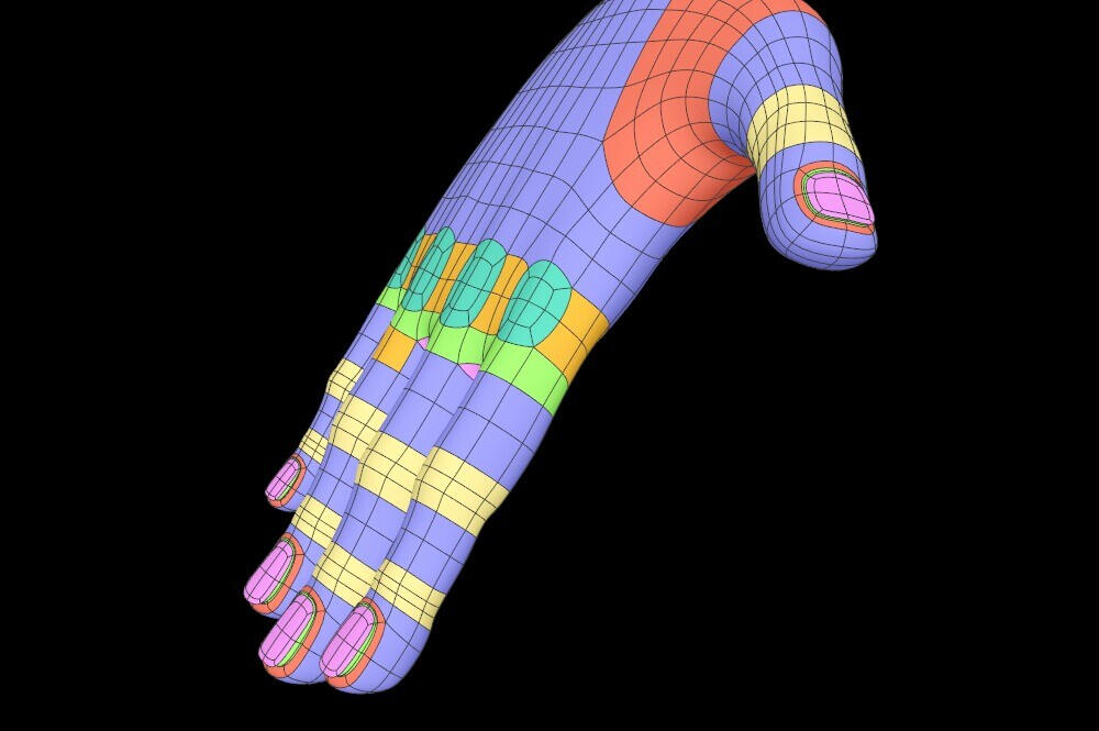 Hand Topology